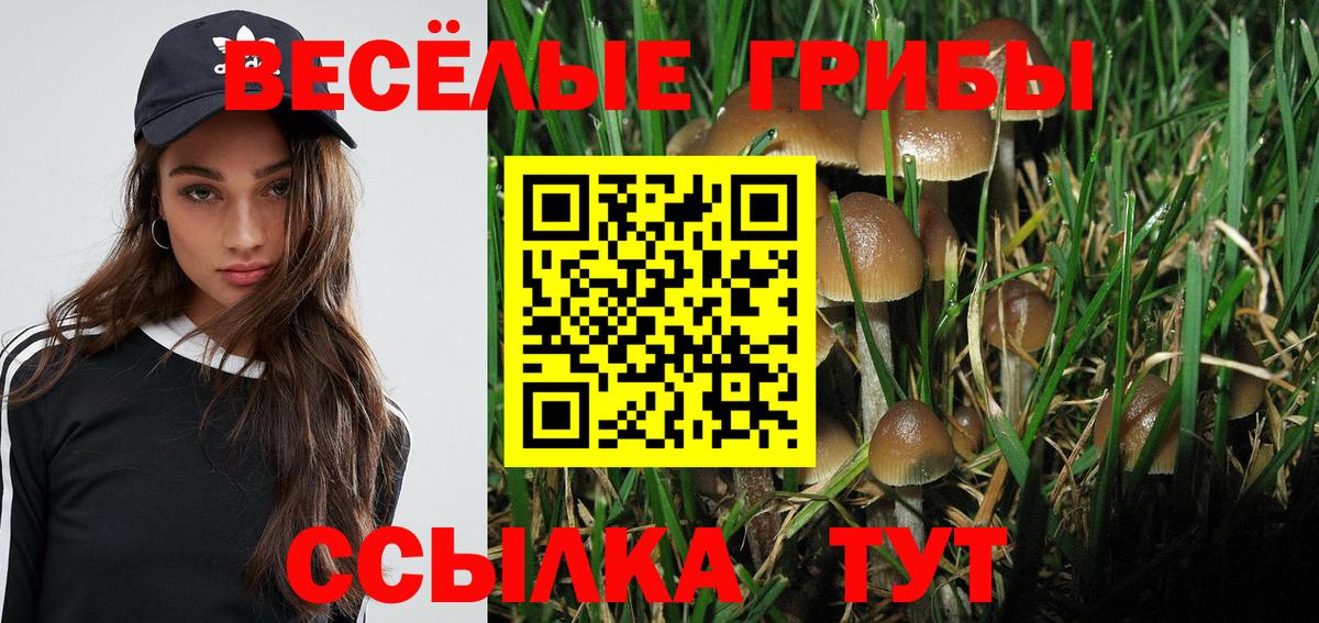Псилоцибиновые грибы MAGIC MUSHROOMS  Вход с VPN  Шахты 